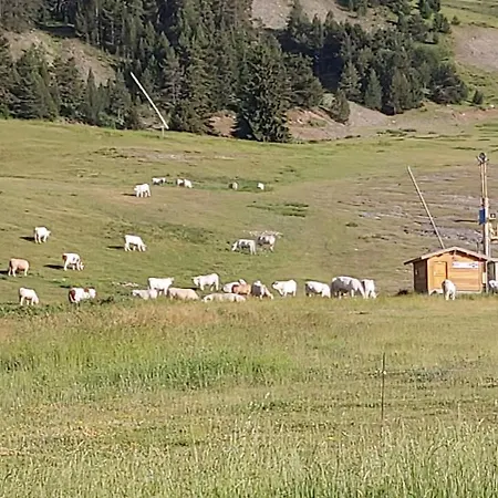 Idéal Pour Les * Selonnet