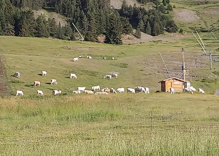 Ideal Pour Les * Selonnet