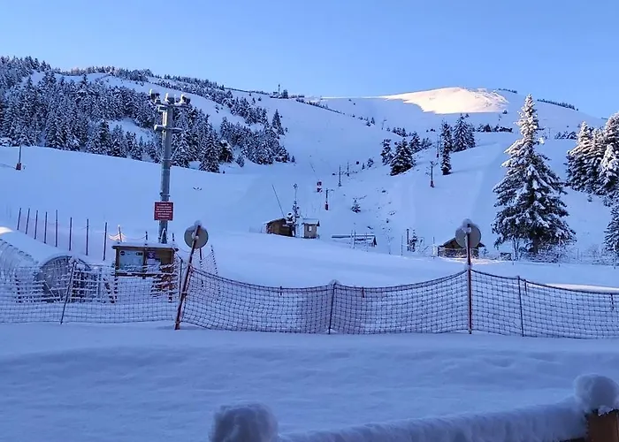 Daire Ideal Pour Les