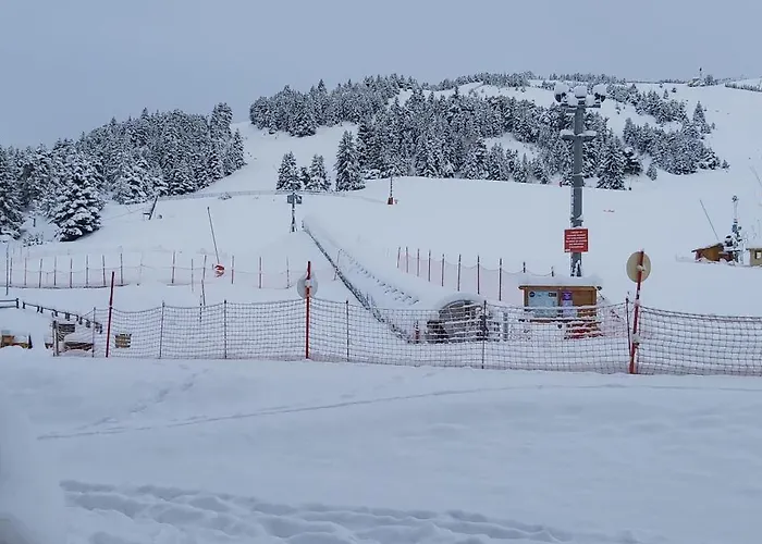 Ideal Pour Les Selonnet